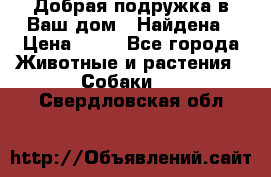 Добрая подружка,в Ваш дом!!!Найдена › Цена ­ 10 - Все города Животные и растения » Собаки   . Свердловская обл.